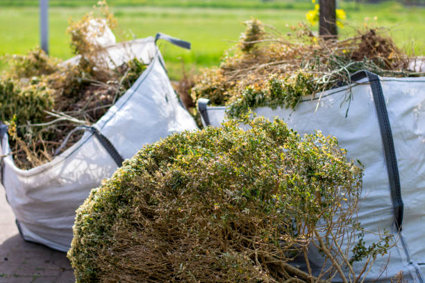 Best Electronics and E-Waste Disposal  in Zimmerman, MN